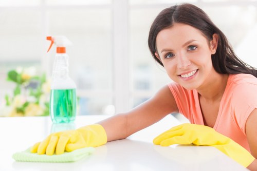 Professional steam carpet cleaning in a living room