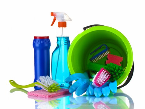 Pet stain odour removal tools and cleaning supplies on carpet