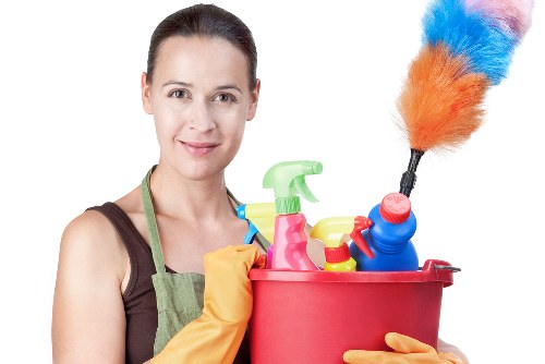 Professional carpet cleaning in a bright living room
