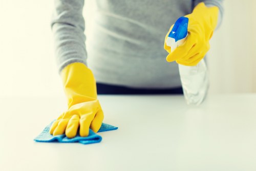 Spot cleaning a rug stain with cloth and solution