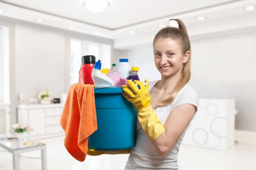 Home deodorising after pet stain odour removal